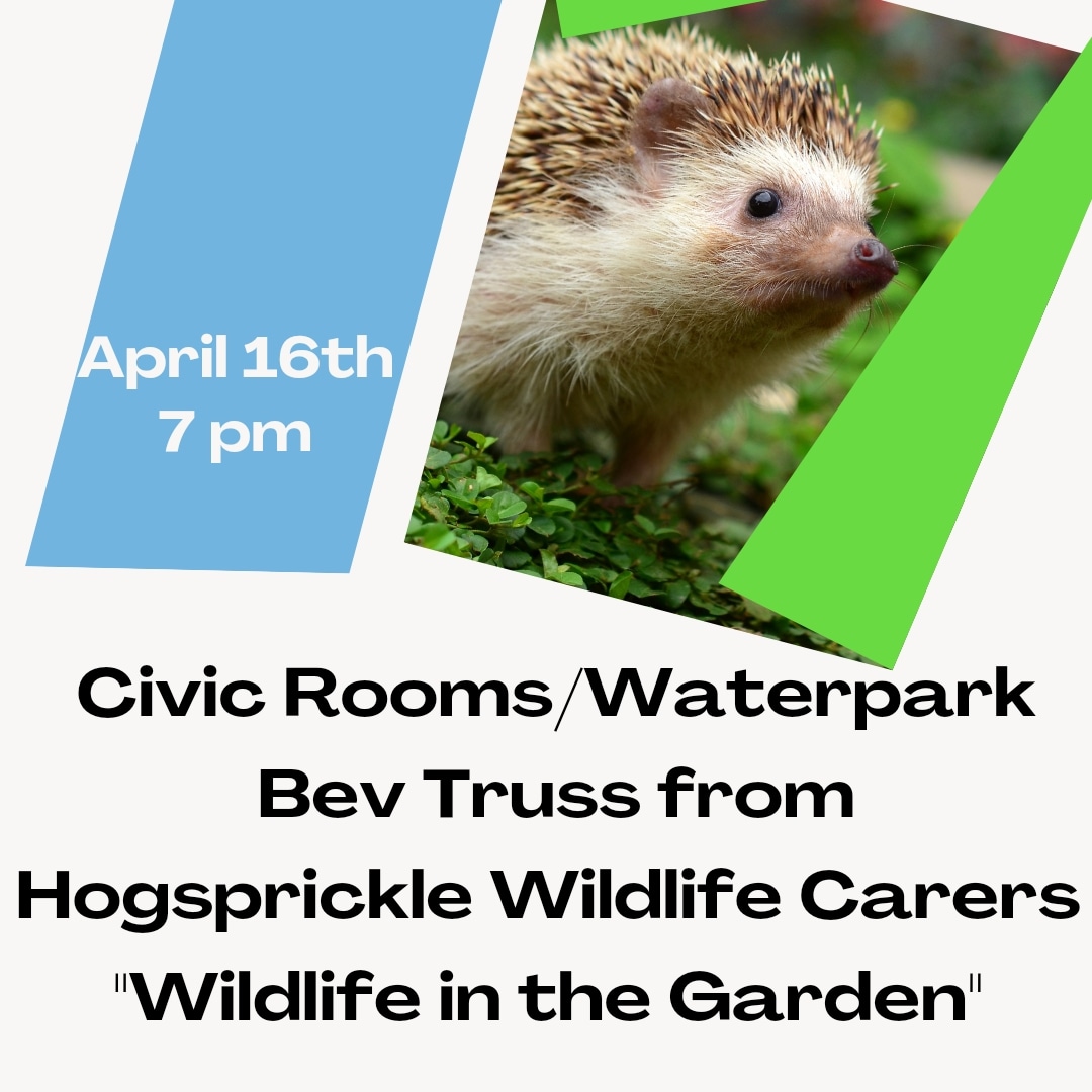 📌📌Join us on 🗓 Tuesday, 16th April at 7 PM in Civic Rooms/ Waterpark at a free talking event with Bev Truss from Hogsprickle Wildlife Carers. Talk about attracting wildlife into your garden🐀🦔 🐞🦋🌳 👨‍👩‍👧‍👦Everyone is welcome to attend.