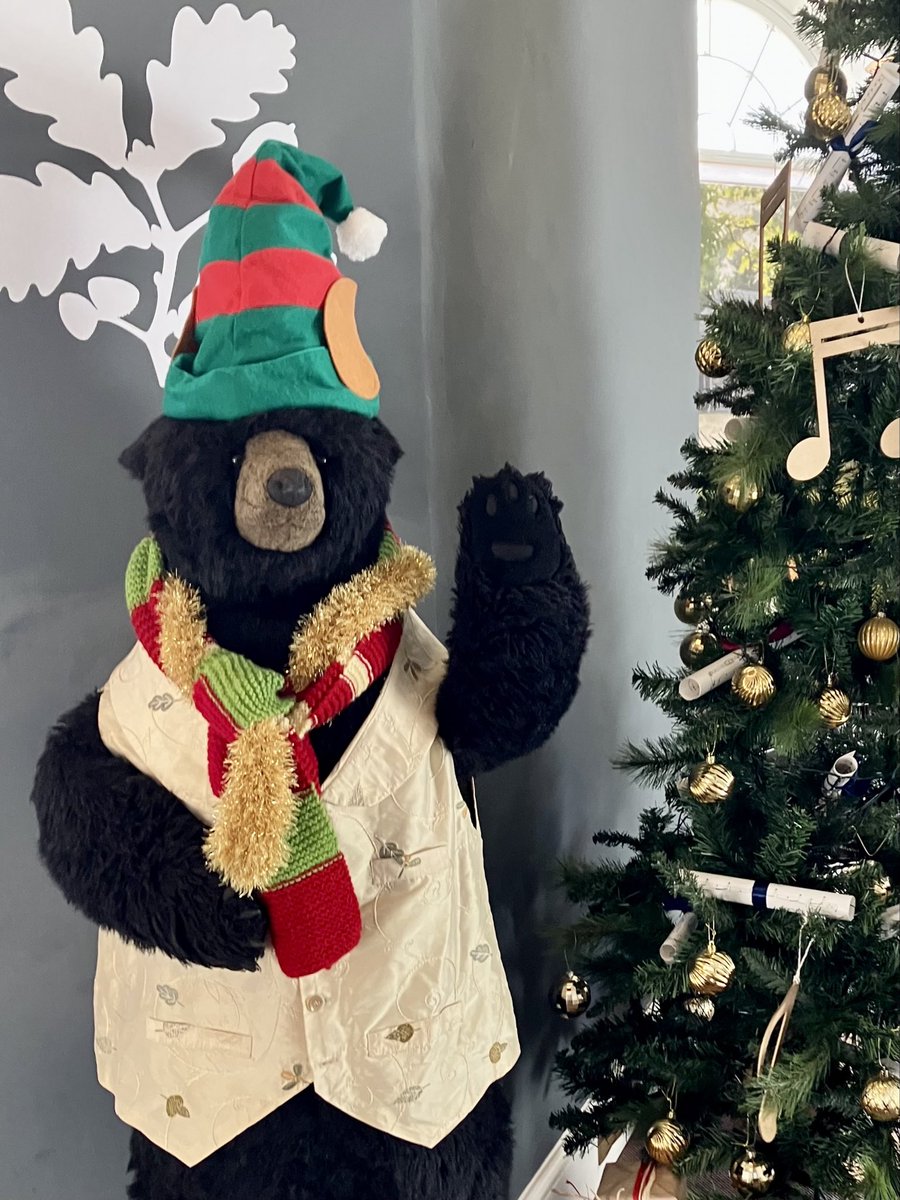 @DailyPicTheme2 The @NTKillerton bear always provides a warm #welcome whatever the season! Here he is at Christmas last year 😃#DailyPictureTheme