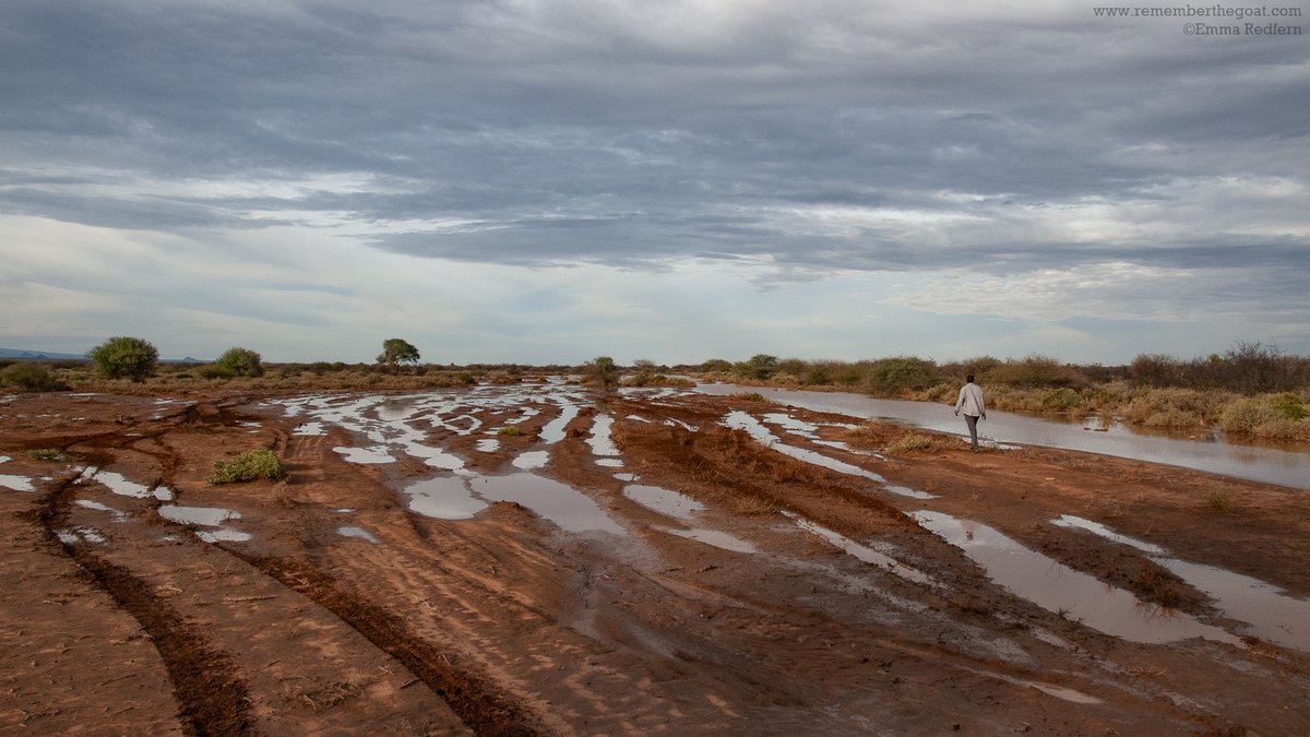 Travelling in northern Kenya during the rainy season. Each time someone tries to go around the muddy problem, the muddy problem gets bigger. #northernkenya #rainyseason #roadtrip #Marsabit #Kenya