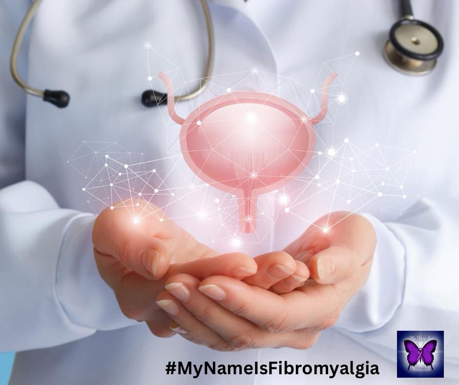 Fibromyalgia and urinary issues in women (and some men). We know that fibromyalgia affects our nerves and therefore affects the nerves of the urinary system. This can weaken your pelvic floor causing urinary incontinence. It can also cause bladder spasms, painful urination