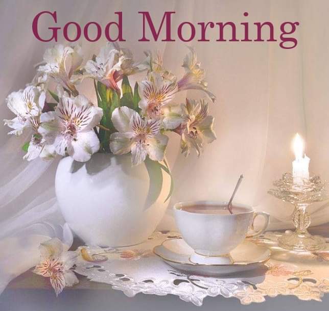 Linda Smith (@lindacabose) on Twitter photo 