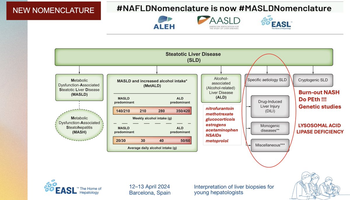 rabataller's tweet image. When assessing a patient with liver STEATOSIS, not only think in alcohol and metabolic syndrome.

There are also genetic causes and DILI-induced steatosis.

#EASLschool in Barcelona.  #livertwitter #BarcelonaEASL @EASLnews @EASLedu
@liverunitclinic