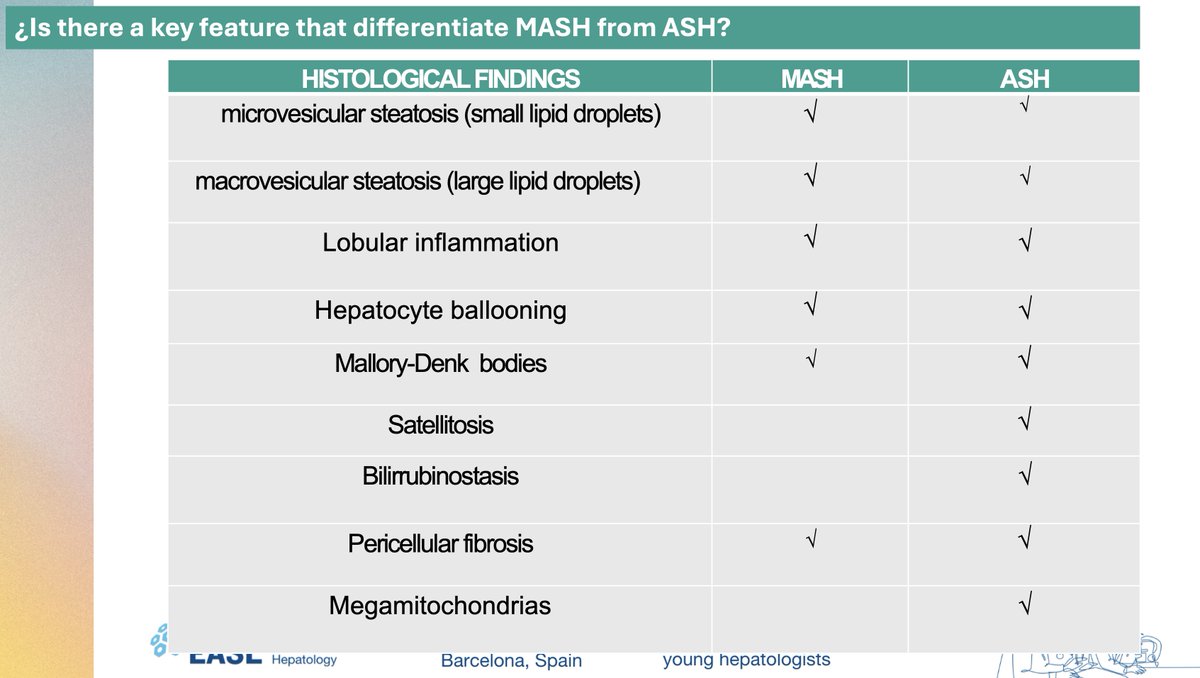 Can we differentiate MASH and ASH via liver biopsy ? Happy to discuss this issue with my pathologist colleague Mayte Salcedo during the #EASLschool in Barcelona. #livertwitter #BarcelonaEASL @EASLnews @EASLedu @liverunitclinic