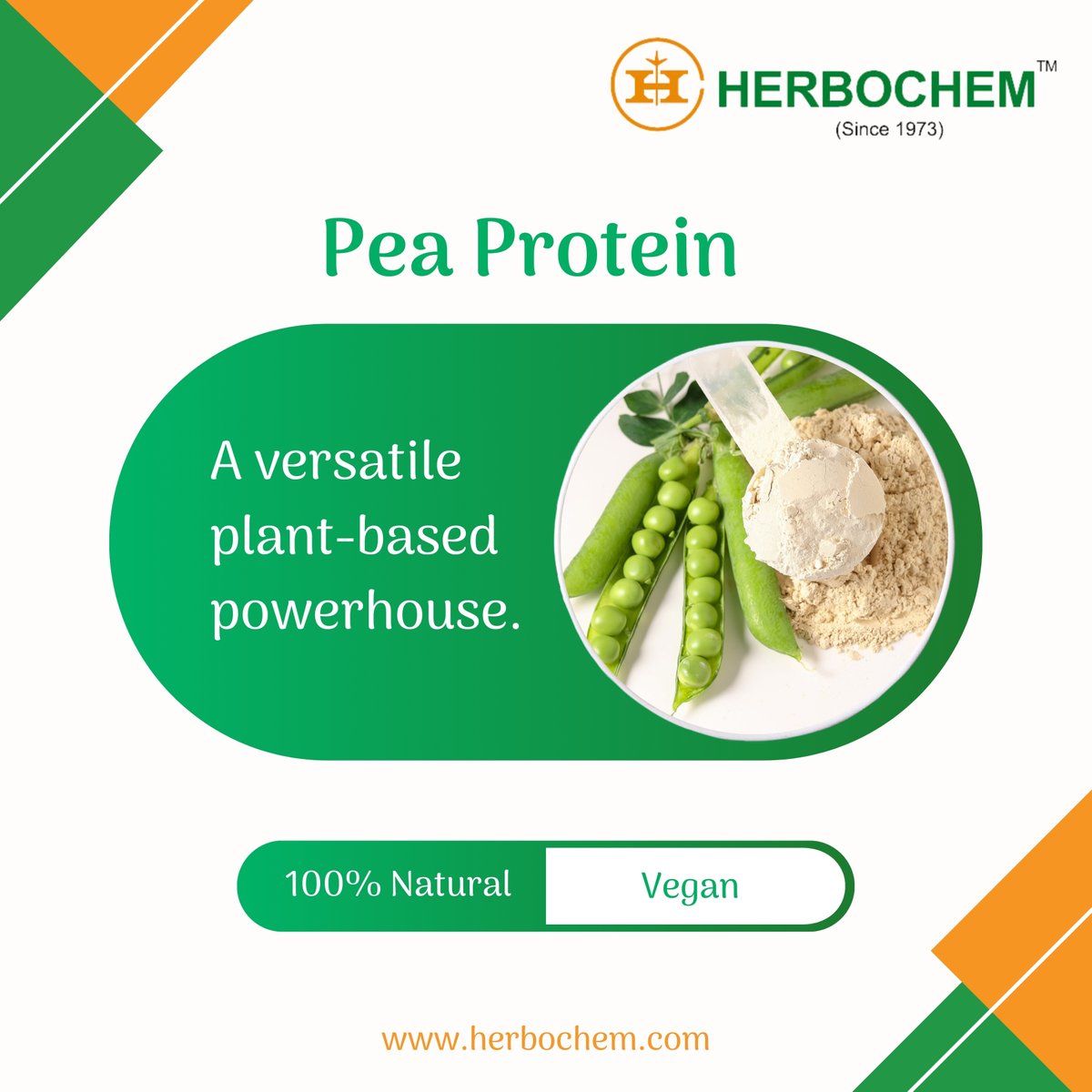 Discover the power of pea protein, a natural plant-based source packed with essential amino acids.

Elevate your nutrition goals with our premium pea protein, crafted to support health and nutrition.

info@herbochem.com

#Herbochem #PeaProtein #ProteinPowder #Nutraceuticals