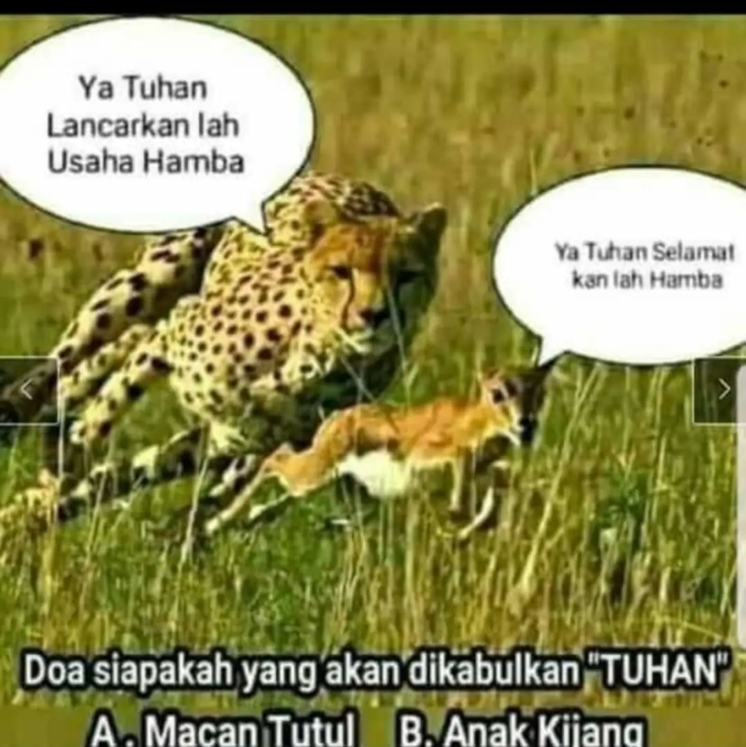 nysyworld's tweet photo. Ada suatu adegan dimana si cheetah yang kelaparan sedang memburuh kijang.. dia berdoa pada Tuhan agar bisa mendapatkan makanan.. disisi lain kijang yang dikejar tersebut pun berdoa pada Tuhan agar diselamatkan. Kira2 doa siapa yang akan dikabulkan? https://t.co/PZIjaWoe7e