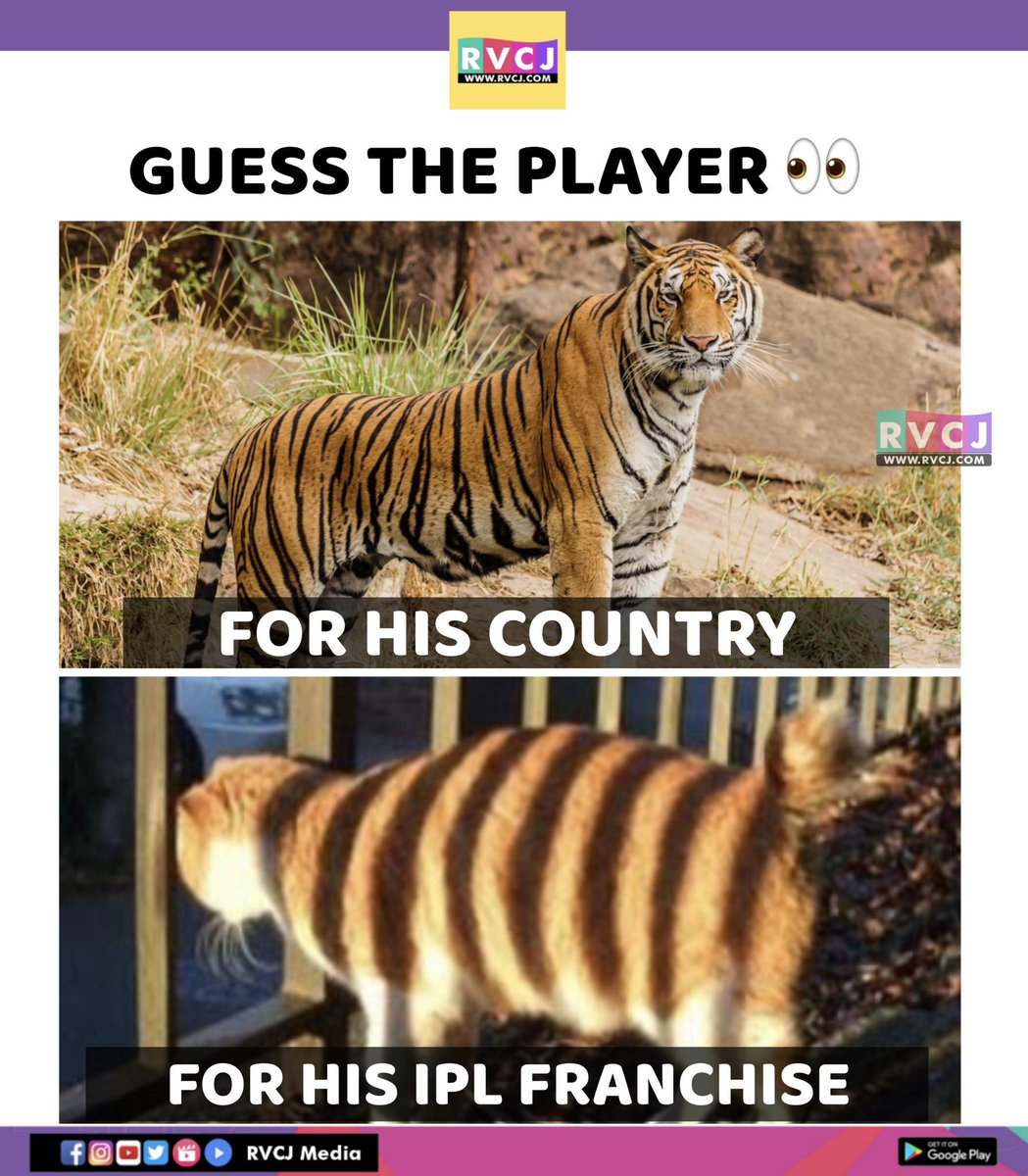 RVCJ Media tweet media