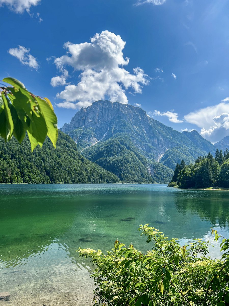 VisitFVG's tweet photo. 🏔️ Circondato da un bosco verde e selvaggio e da molteplici corsi d'acqua cristallina, il lago del #Predil è il secondo lago naturale più grande della regione. 
👉 https://t.co/9VhljXGKPF
#iosonofvg #visitfvg 

📷 tizprin https://t.co/MvNxZpp5gZ