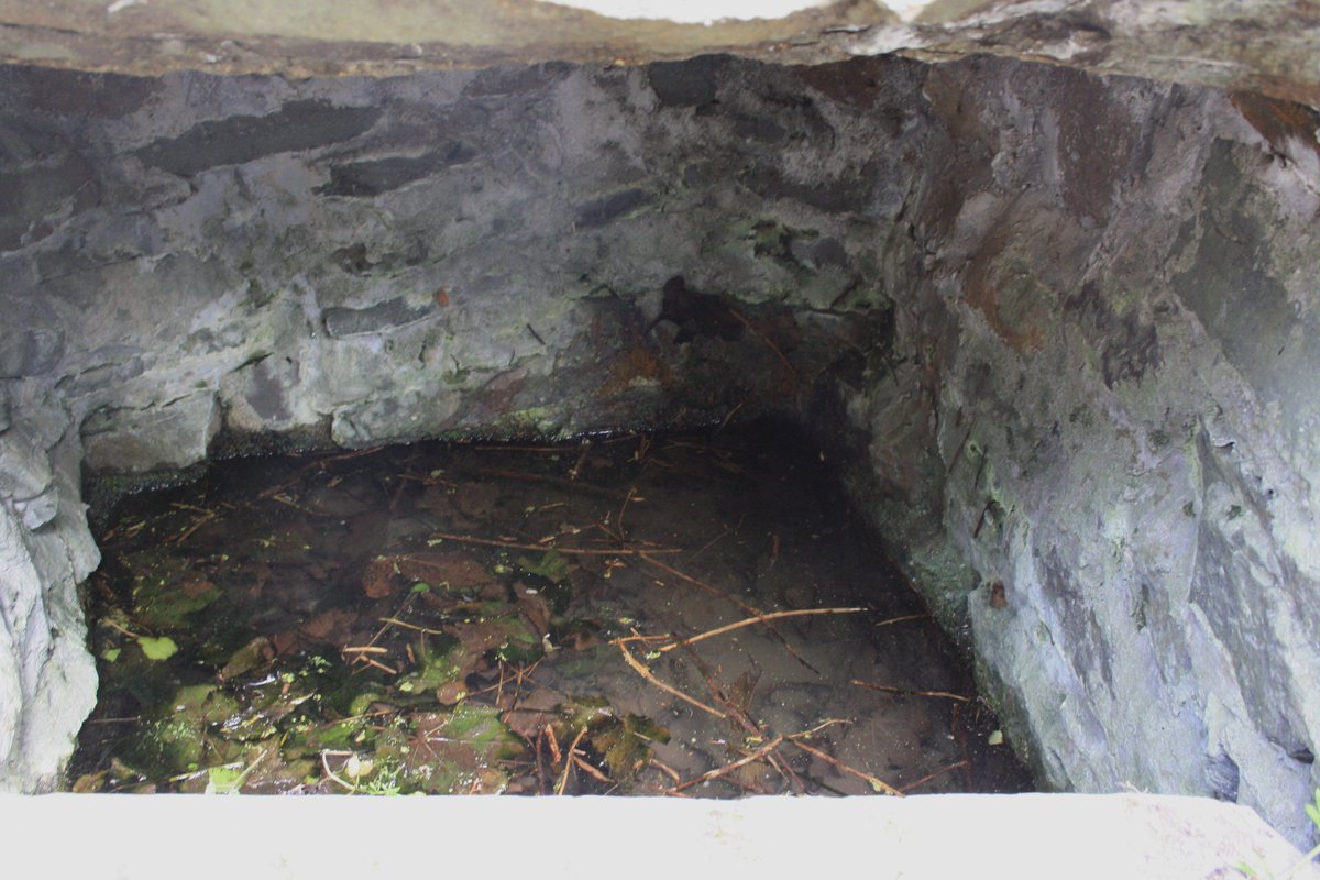 WellHopper's tweet photo. Visiting Pabo's Well, at Llanbabo, Ynys Môn. A fascinating large two part roadside farm well https://t.co/D7XboGfMhI https://t.co/ULrrjigeJK