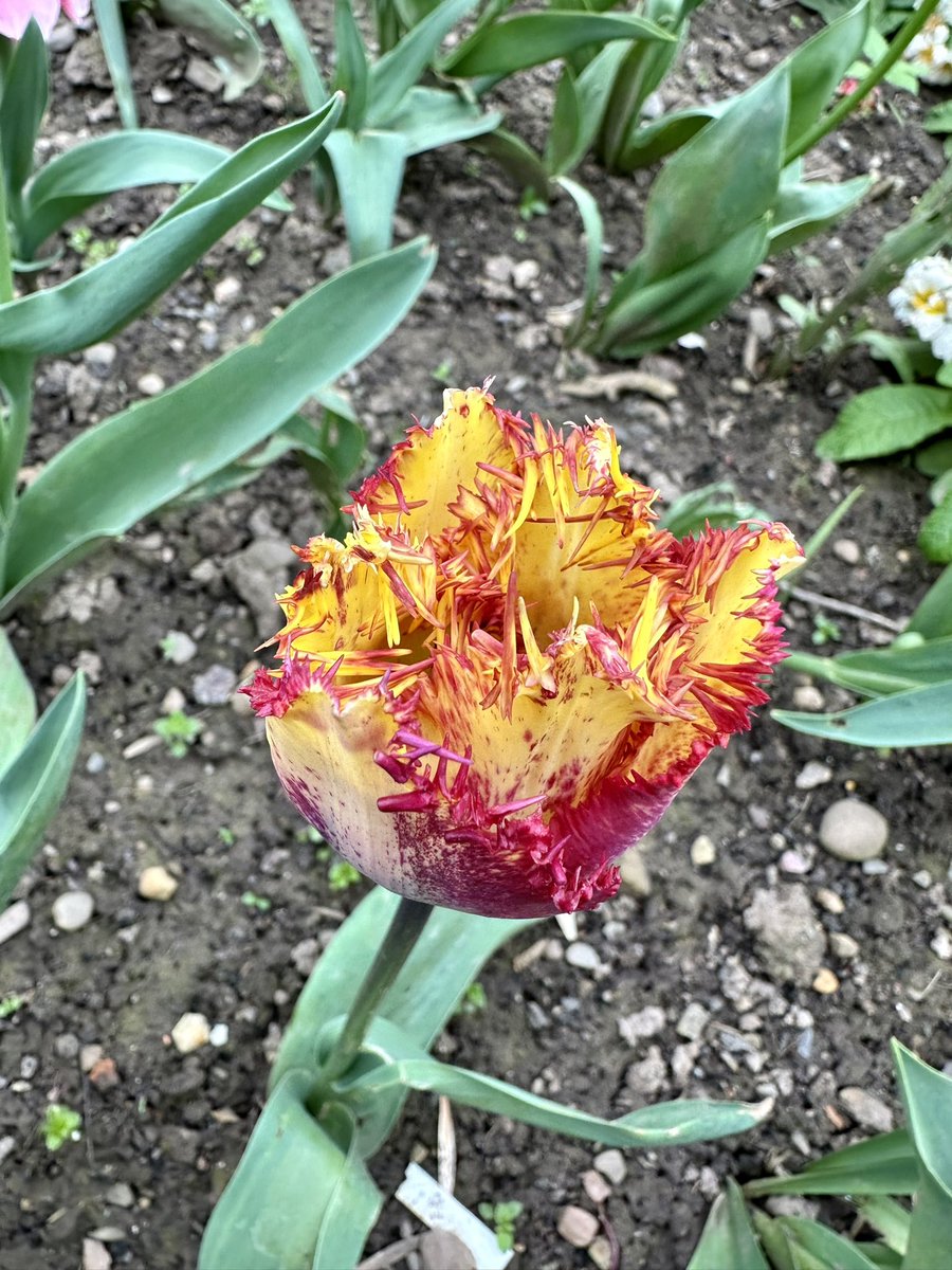 Kath preece tweet media