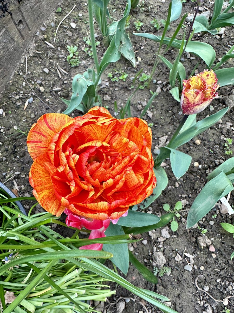 Kath preece tweet media