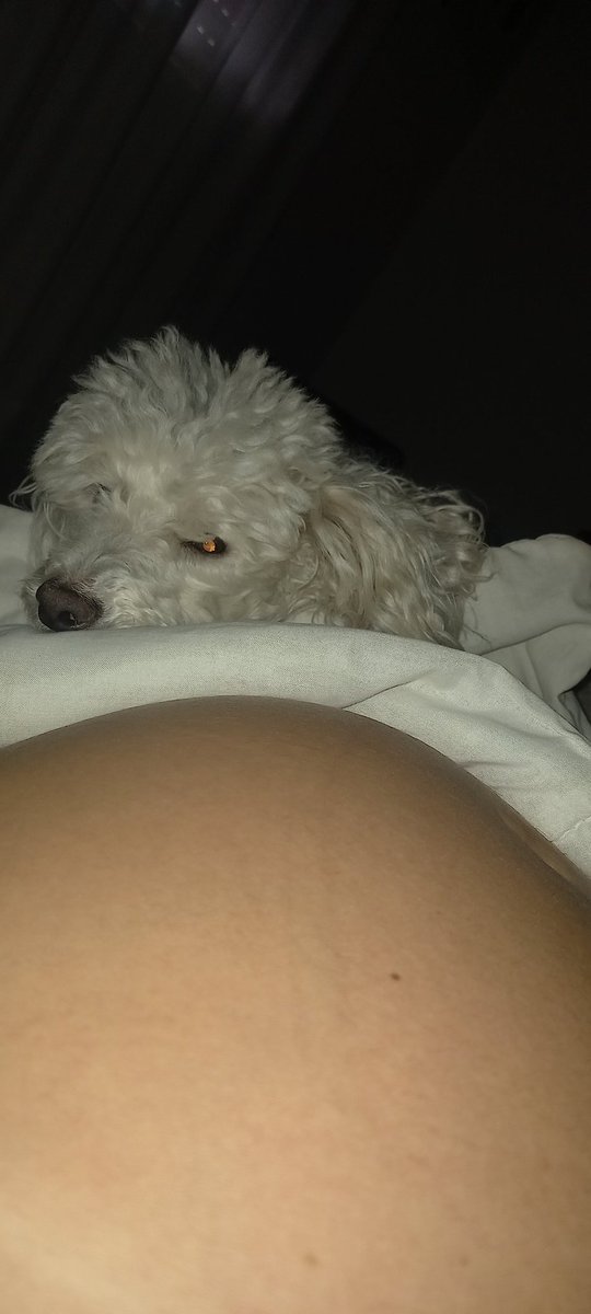 Falta tan poco mi reina de conocernos 🐣 tan solo 3 semanas
