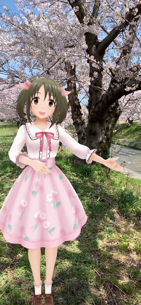 舟川べりの桜🌸 #デレスポAR #今井加奈