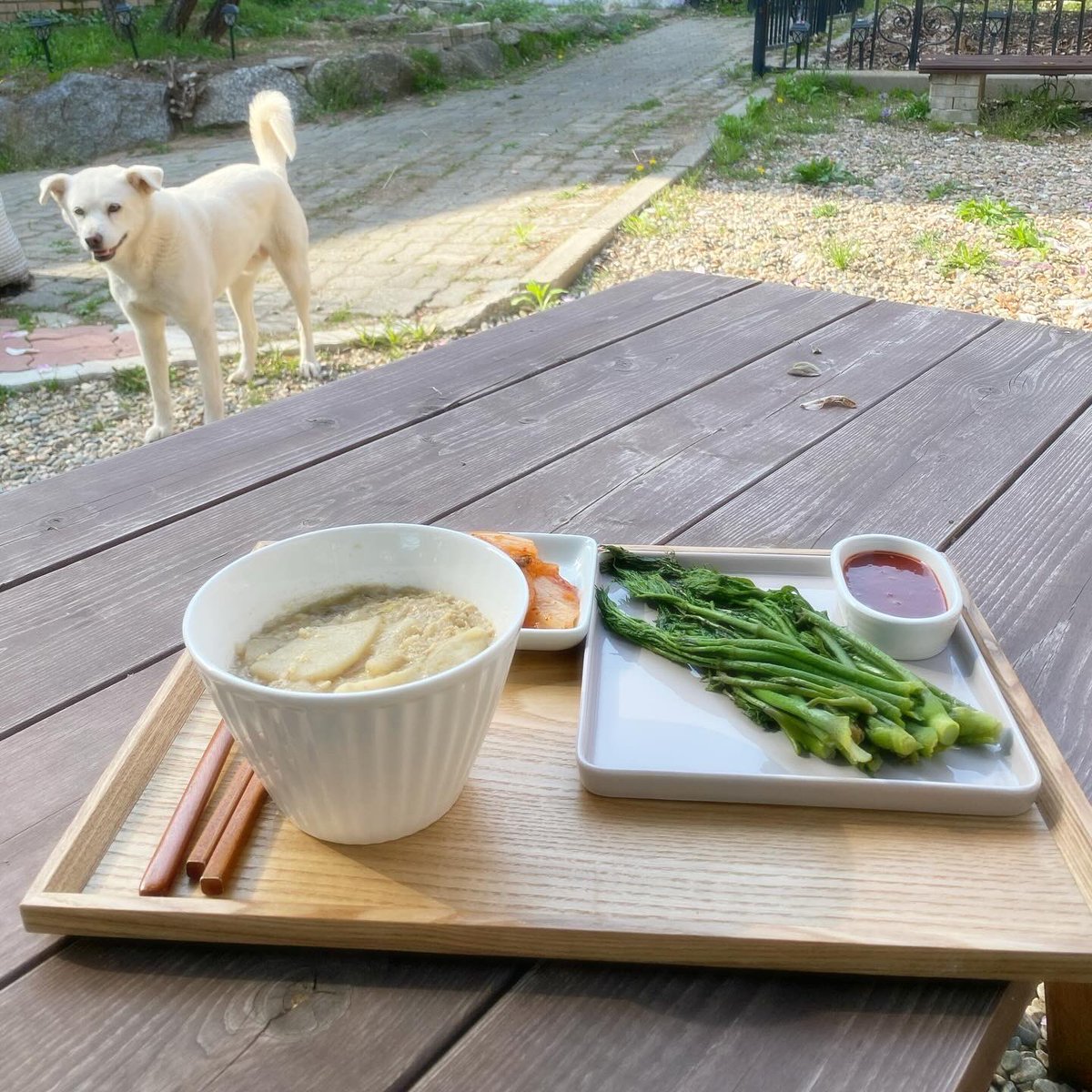 오늘의 마당혼밥. 마당에 있는 두릅 몇개 따서 두릅정식.