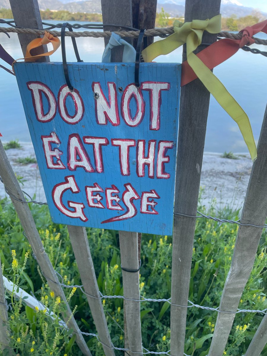 Heimanator's tweet photo. I got to spend my mom’s birthday at opening day of the Renn Faire. I went to many Faires with my mom growing up, also she and my dad worked at the Faire before I was born. It was a beautiful day, and I’m looking forward to getting back to the Faire before the season is over. https://t.co/6m6AiUSoAZ