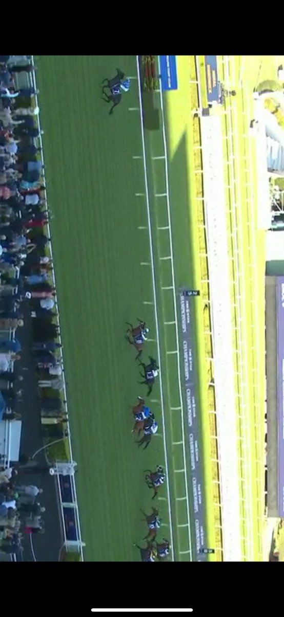 Just seen the replay ! Pride of Jenni is just taking the Piss here Led by 30 lengths 🤣 #Randwick