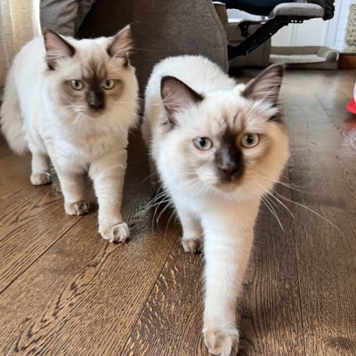 JamieAy27's tweet photo. #NewProfilePic https://t.co/xkZcPH4p94