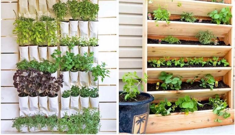 Vertical Gardening: Maximizing Space With Creative Planting Solutions Know more: uniquetimes.org/vertical-garde… #uniquetimes #LatestNews #CreativeGardening #verticalgardening