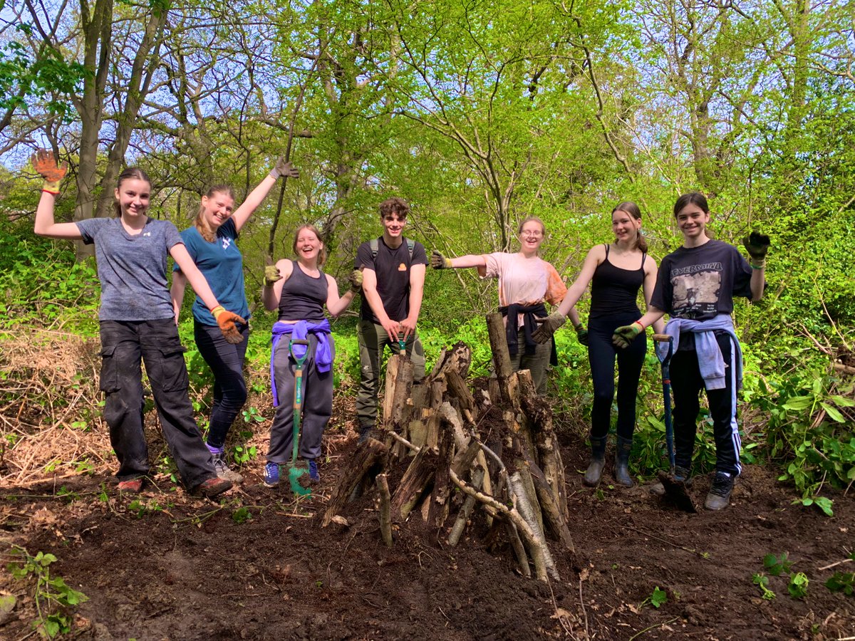 The ancient woodland at Coombe Wood was looking marvellous this morning, with bluebells out in force! As @habsandheritage @DofE volunteers got to work building stag beetle loggerys! We can’t underestimate the importance of deadwood for ecology! @RBKingston