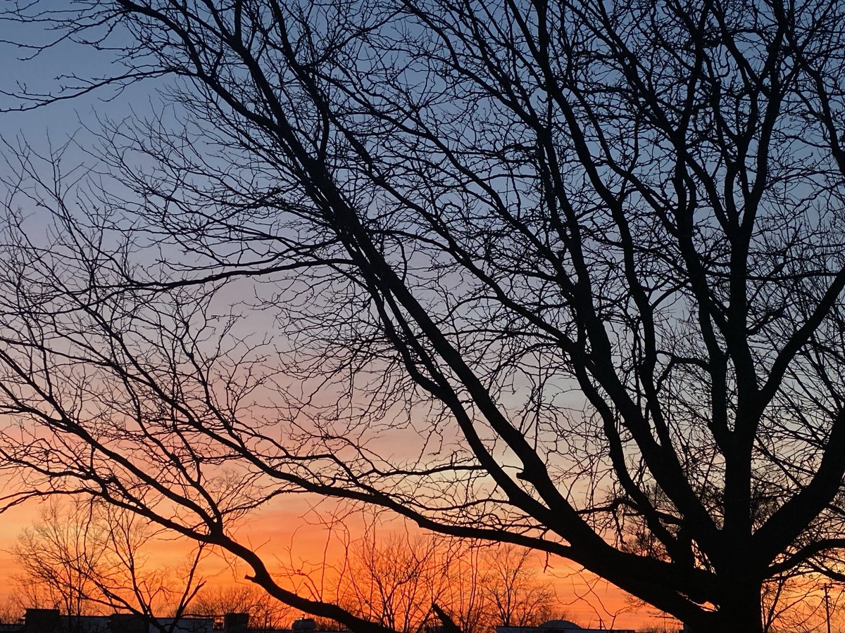 The frames that make me long to experience those snowy sunsets again! 😍

#SunsetsGalore #HomeAwayFromHome
#WannaFreezeEveryFrame
#ThePrettiestTimeOfTheDay
#AstronomicalTwilight