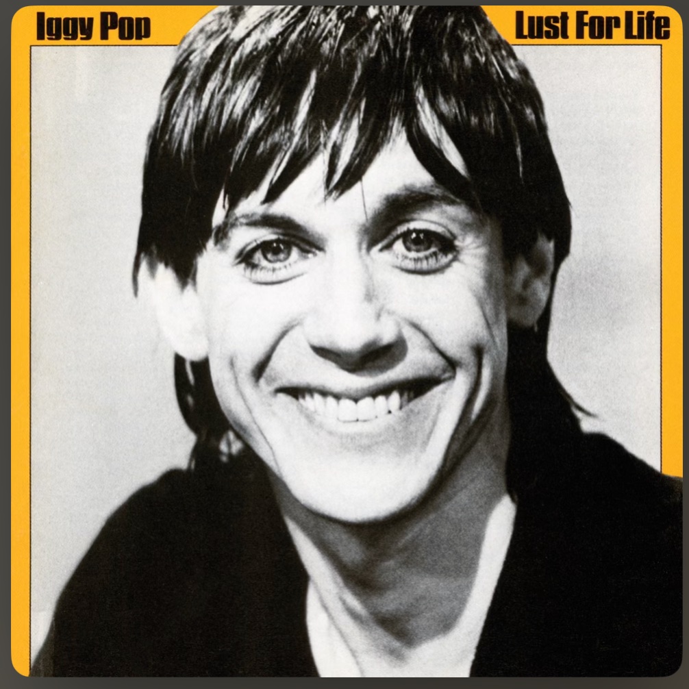 Iggy Pop -  Lust For Life ✌🏻🩷💕
#NowPlaying #70s #popmusic #rockmusic #albumsyoumusthear