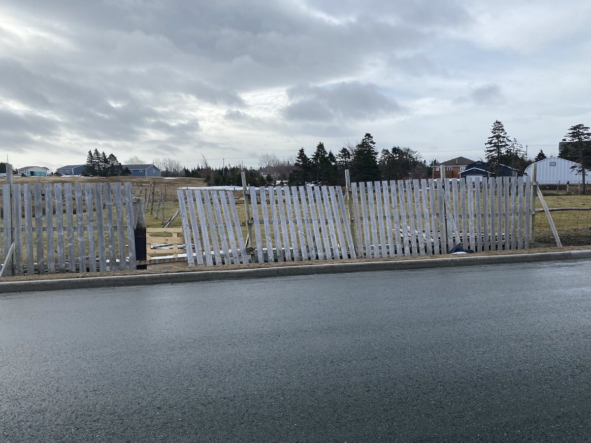 mattmorry's tweet photo. Another spring spent fixing what the @CityofStJohns operators destroyed snow clearing. This is only one of several sections 

Is there any need? Accidents happen but this is a yearly occurrence. When a damage claim is filed it is never approved. What gives? https://t.co/VqbD3yyLjY