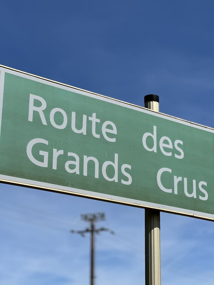 The Thirsty Duke tweet media