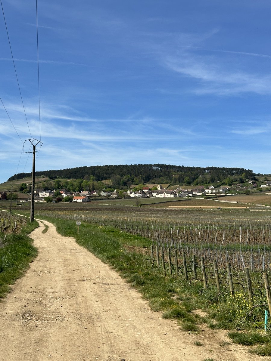 The Thirsty Duke tweet media