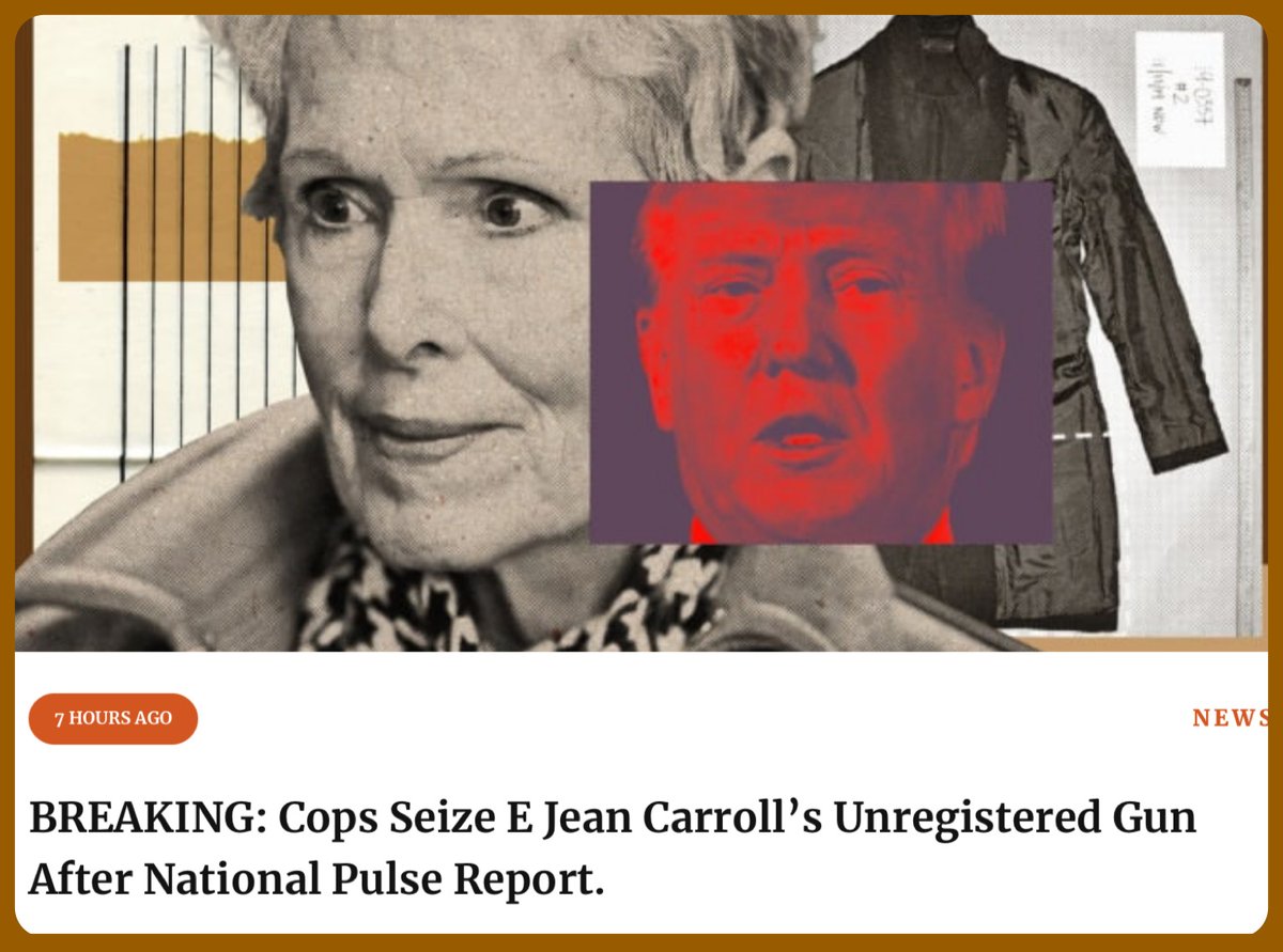 Throw the book at her!  Watching you New York.

“New York police took custody of an unlicensed firearm belonging to anti-Trump activist E. Jean Carroll following a report from The National Pulse.

In January 2024, we reported that Carroll disclosed holding a firearm at her home…