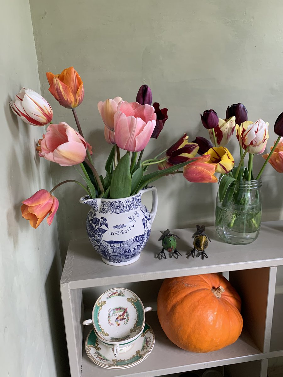 I did go wild with my tulip planting this year but I don’t regret it. :) There are homegrown tulips everywhere in the house. Are you partial to a tulip?