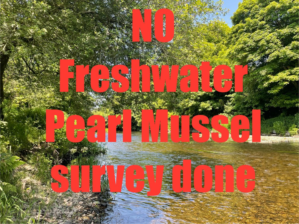 Keohanes submitted their FIR. One of the things asked for was a survey of Freshwater Pearl Mussels. This was also asked for during pre-planning in Feb 2021. 3 years later and still no survey done. This is disappointing, the fwpm is endangered and widespread in the Bandon river.