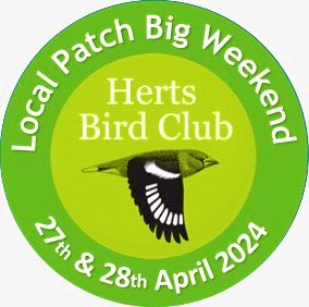 Don’t forget to sign your team up to take part in the @Hertsbirds 🦉👀Local Patch Big Weekend? 🐦‍⬛👀 48hrs of patch birding on Sat 27th & Sun 28th April to see as many species as you can on your local patch #hertsbirds docs.google.com/spreadsheets/d…