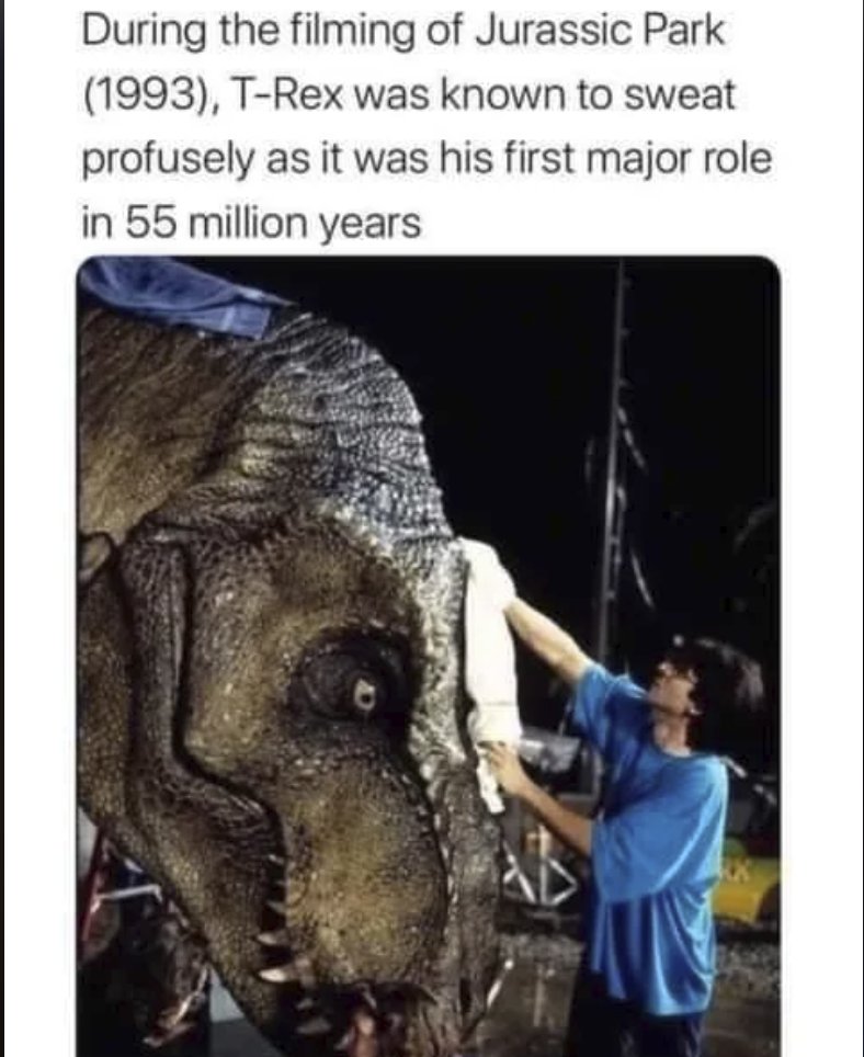 Respectful Memes (@respectfulmemes) on Twitter photo 