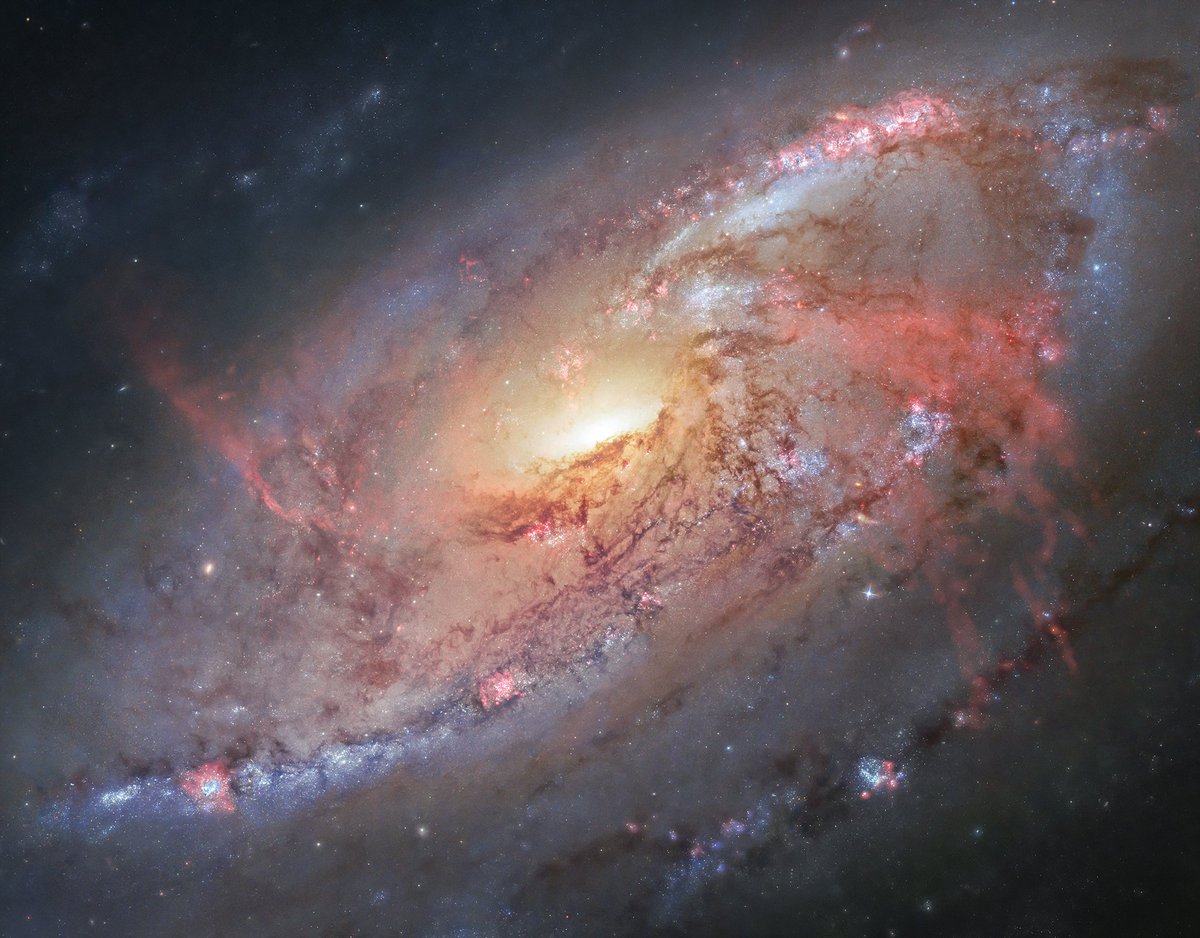 M 106, in a personal processing of various raw Hubble telescope data combined, SHO. 
#telescopephotography 
#astronomyphotography #astrophoto 
#astrofotografia #astrophotography 
#deepsky #deepskyphotography 
#hubble #hubbletelescope