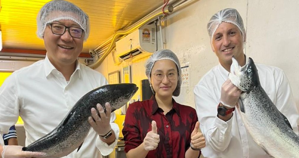 ¡Excelentes noticias! 🎉 El salmón fresco chileno llega a Malasia en menos de una semana gracias a innovaciones en tecnología y envasado. 🐟🌎 ¡Este hito promete impulsar las exportaciones de otros productos chilenos! Más detalles en: bit.ly/3UdSq7u