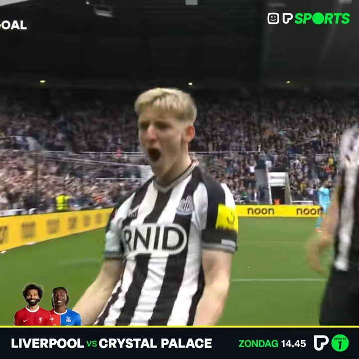 Gordon doubles Newcastle’s lead against Tottenham