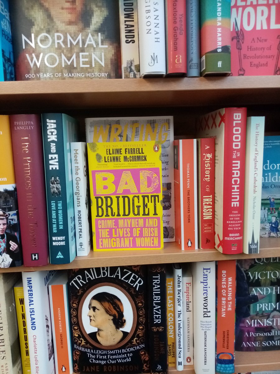 Spotted in my local independent book shop in Hertfordshire #BadBridget new funky cover too @BadBridget @Elaineffarrell @Leannemcck