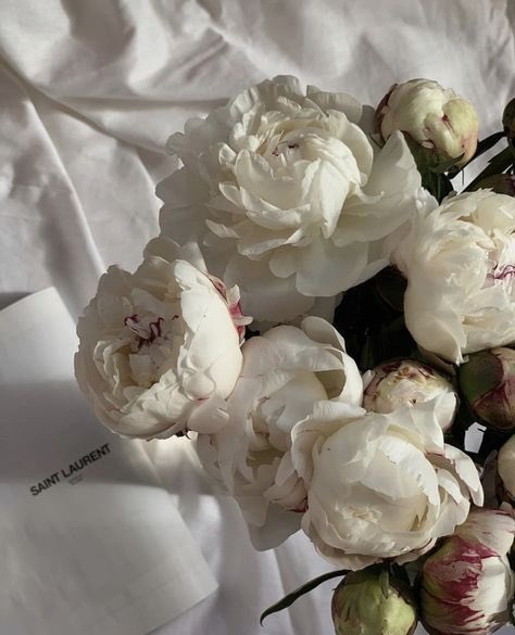 dayy🐧 tweet media