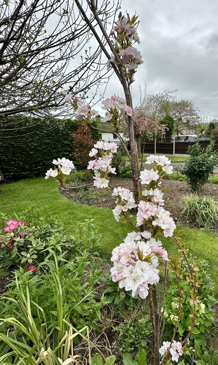 Kath preece tweet media