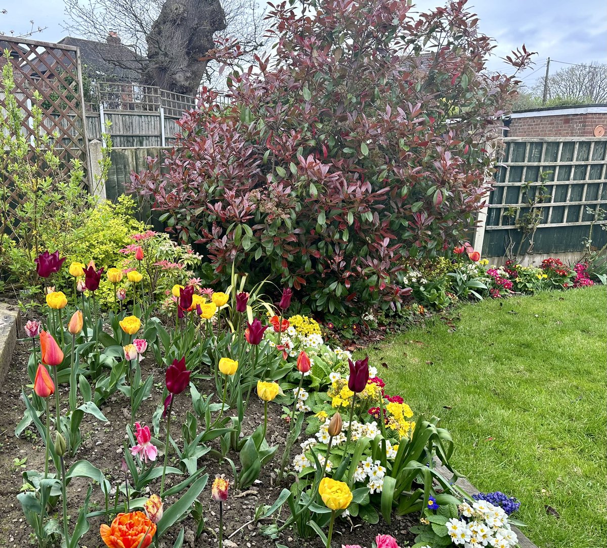 Kath preece tweet media