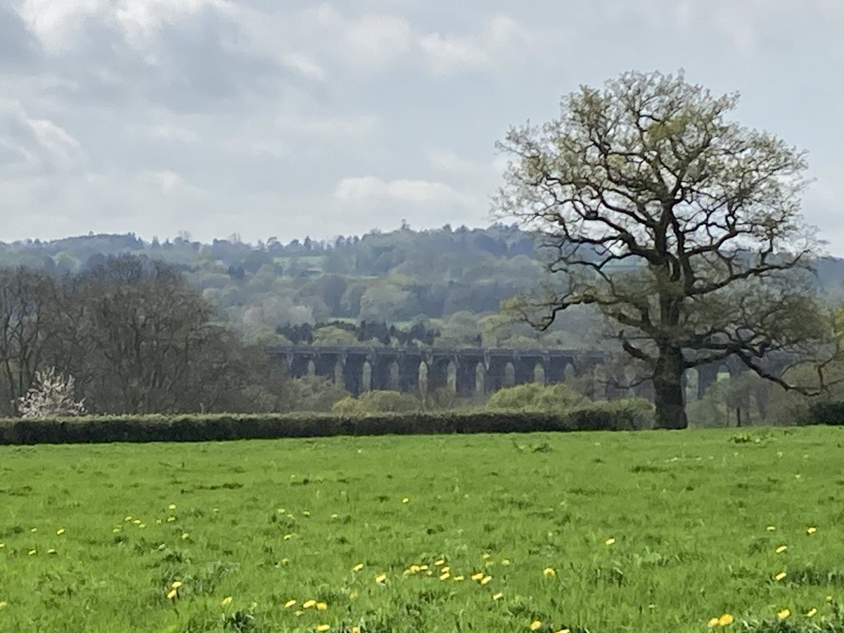 Just completed the 14km Balcombe Viaduct and Ardingly Reservoir walk! It was a bit muddy but enjoyed the sights and sounds of springtime.