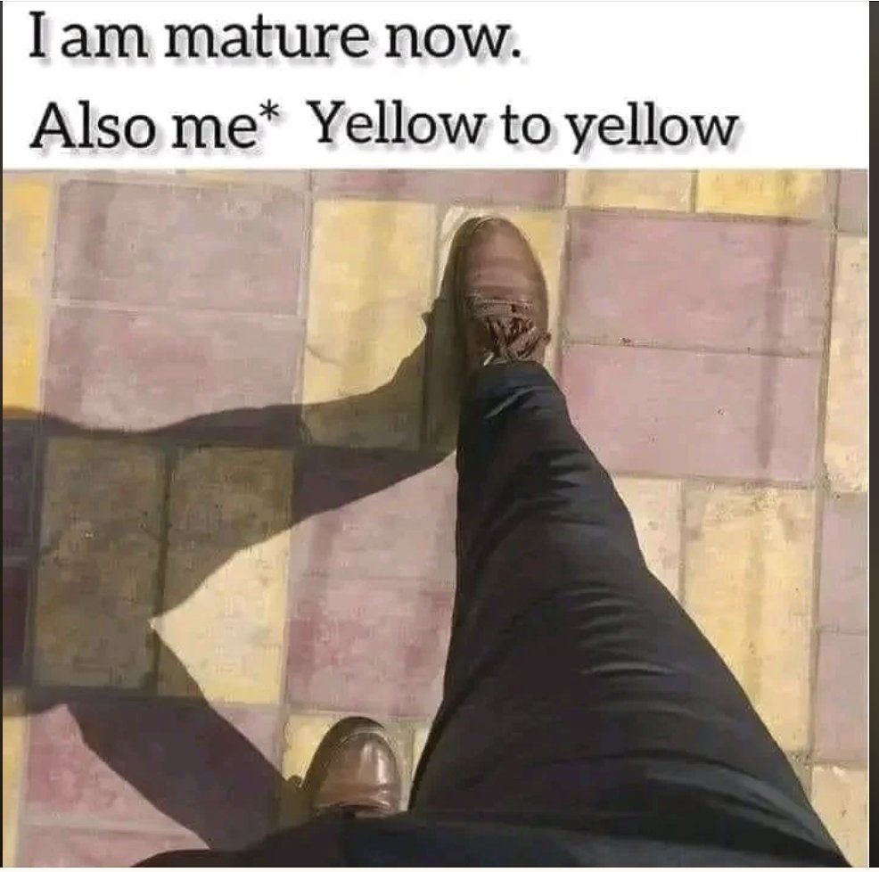 RespectfulMemes's tweet image. 