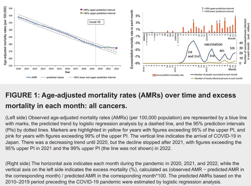 例の査読済み論文『日本のCOVID-19パンデミックにおける３回目のmRNA脂質ナノ粒子ワクチン投与後の年齢調整がん死亡率の増加』　見ました

左図：年齢調整した全てのガンの死亡率
毎年下がっているのに2021年から上昇

右図：各月の全てのガンの超過死亡率とワクチン接種者数
＃ワクチンとガンの相関