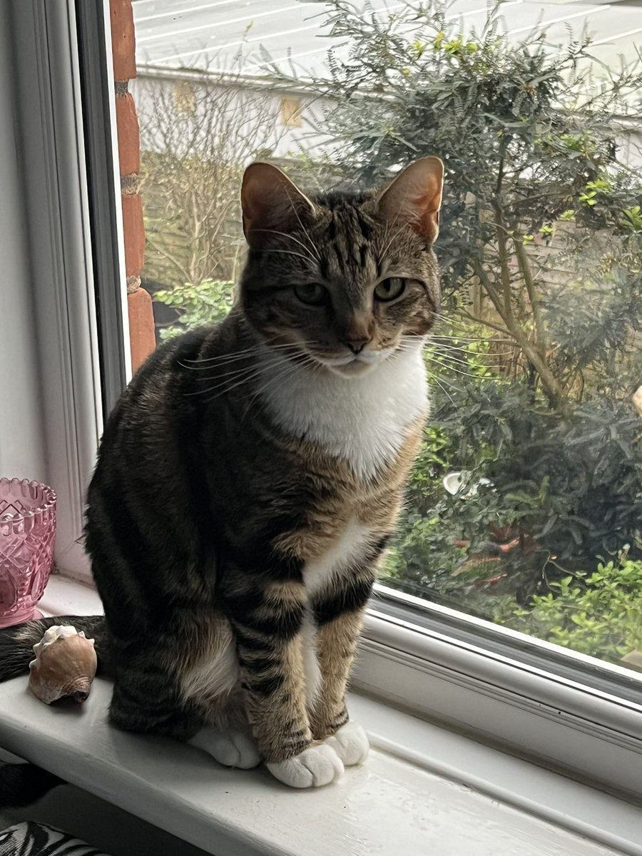 Kaye Dwight tweet media