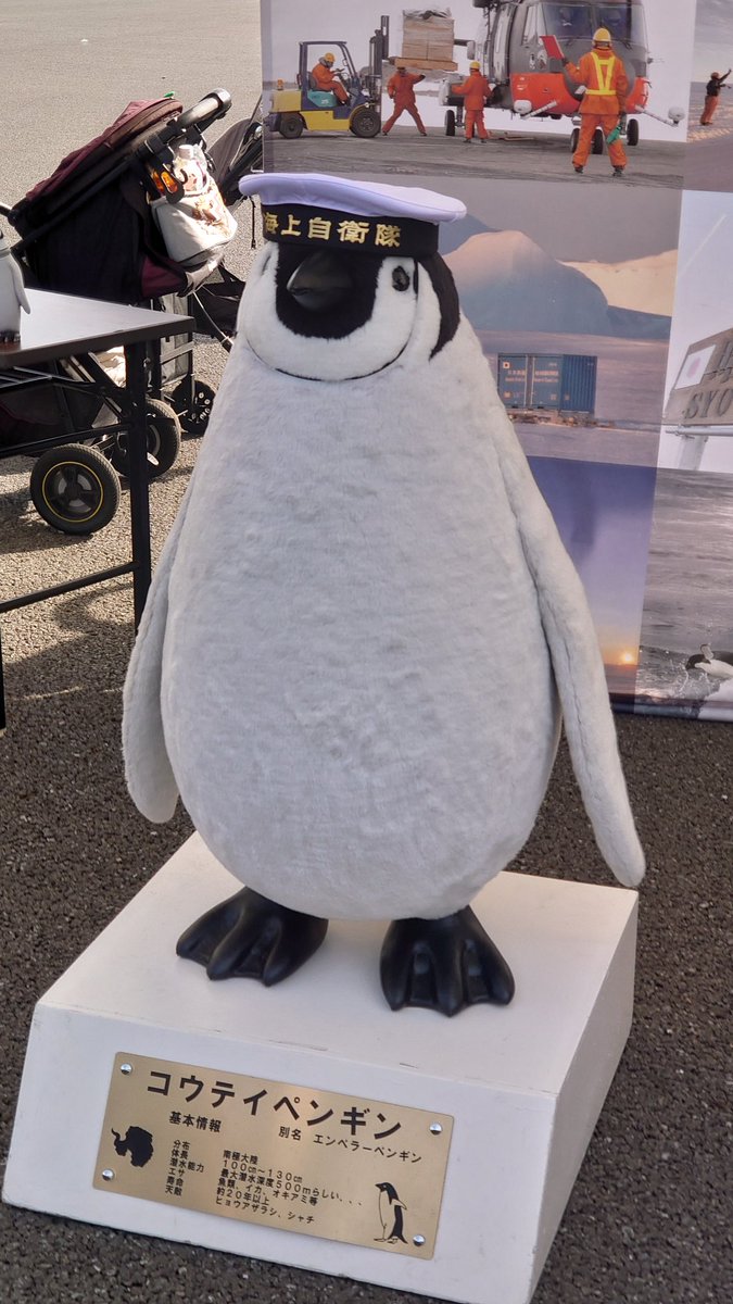 コウテイペンギンさんは結構デカいらしい…