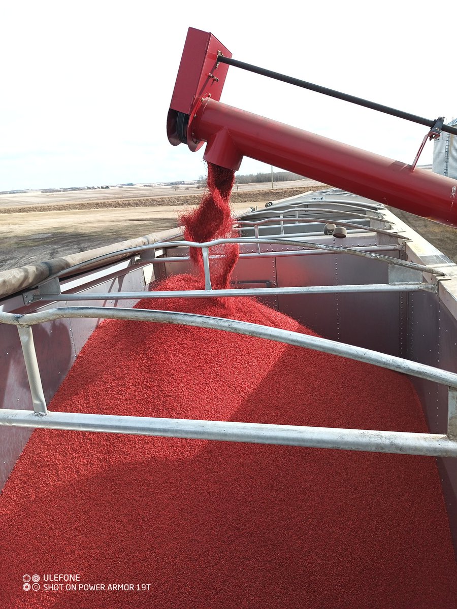 Kelsey Solick tweet media