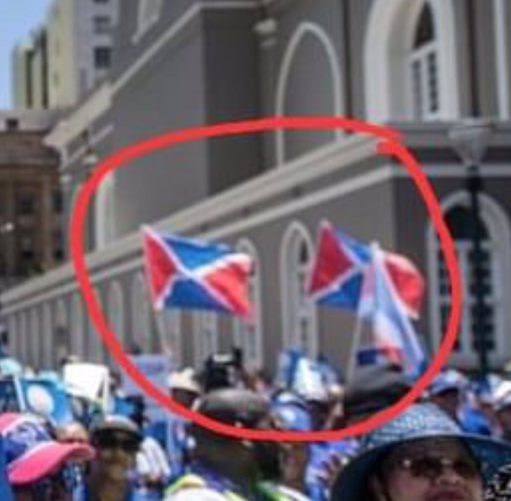 Why is the DA bringing Cape Independence flags to its protest?