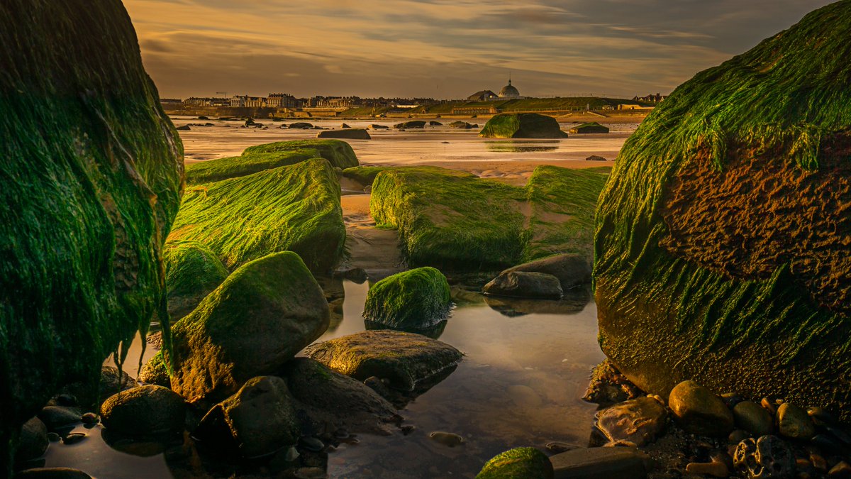 Where I love to walk. @Pexels #WhitleyBay #Northumberland #Newcastle