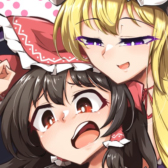 表紙の霊夢とゆかりん…( ˘ω˘  ) 