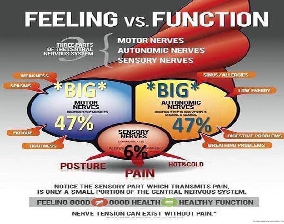 Don't wait for the pain! Only 6% of your nerve is sensitive to pain, the rest is function. By the time you feel symptoms the dysfunction, disease, damage and decay is already taken a foothold!