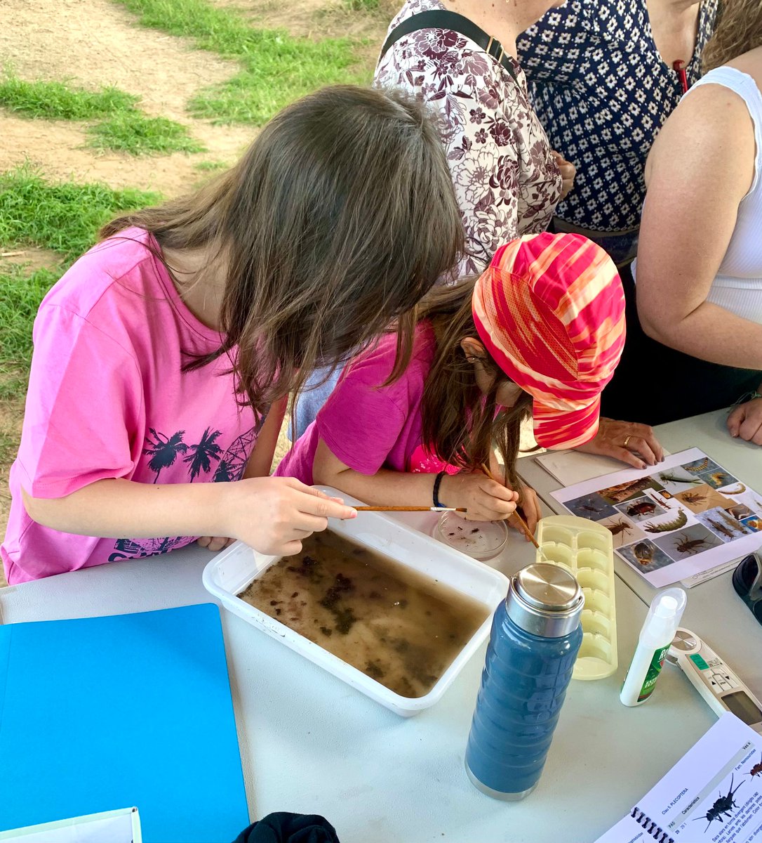 Activitats #DiaMundialAigua.

Avui sortida al riu Llobregat  fent ciència ciutadana amb el projecte #Llegimelriu.

Els microinvertebrats ens  informen de la qualitat ambiental del riu. 

#LHCiència
#PadrinsRiuLH